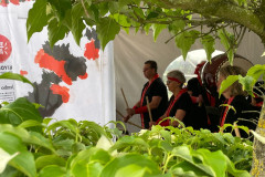 Koi en Bonsai Show 2025